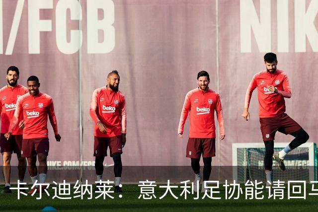 卡尔迪纳莱：意大利足协能请回马尔蒂尼，说明他们开始醒悟了